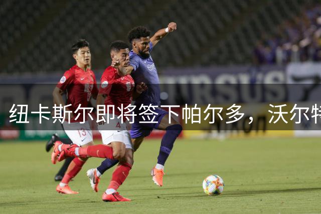 纽卡斯尔即将签下帕尔多，沃尔特马德或租借尤文