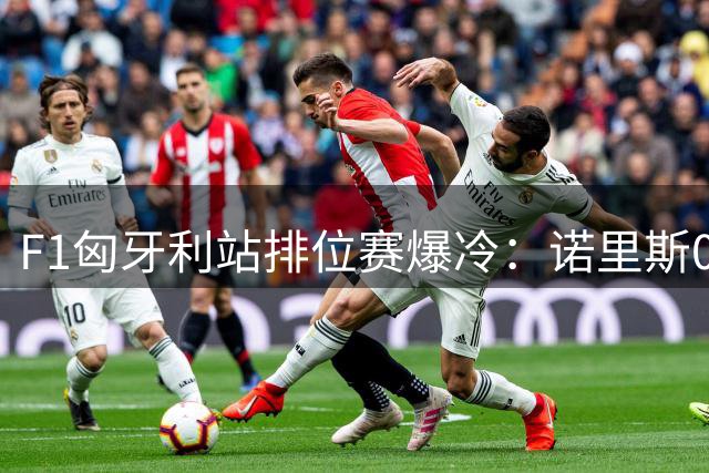 F1匈牙利站排位赛爆冷：诺里斯0.012秒险胜 梅奔王朝遭终结