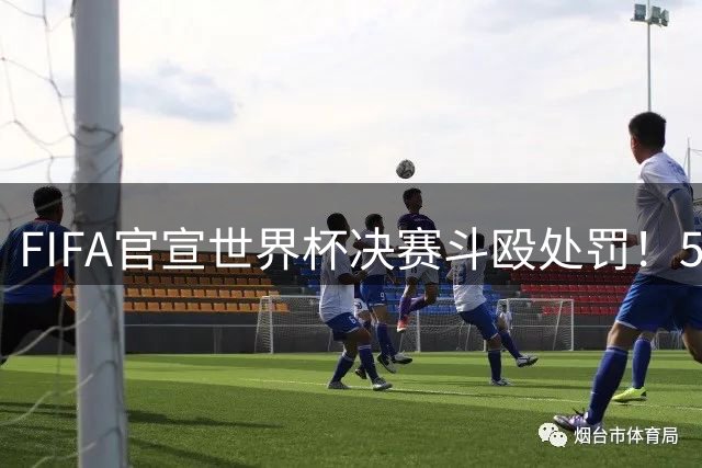 FIFA官宣世界杯决赛斗殴处罚！5人禁赛22场，帕雷德斯遭重罚
